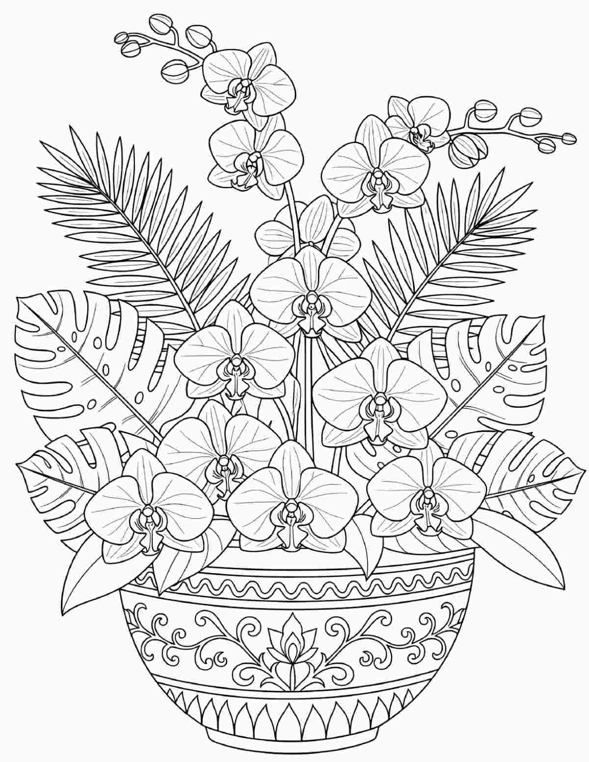 Uma página para colorir de orquídeas para imprimir com uma orquídea e várias folhagens tropicais em um vaso com desenhos geométricos.