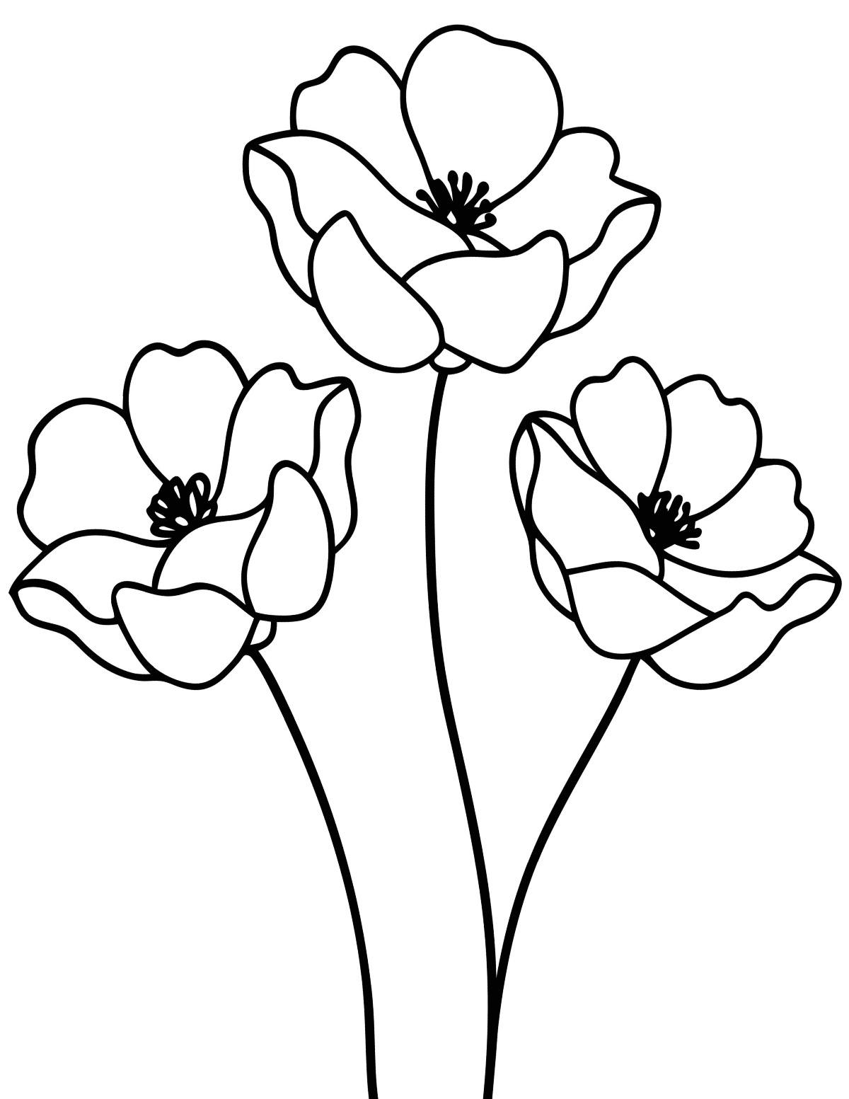 Uma página para colorir de papoulas grátis para imprimir com três hastes de flores de papoula no centro da folha para colorir.