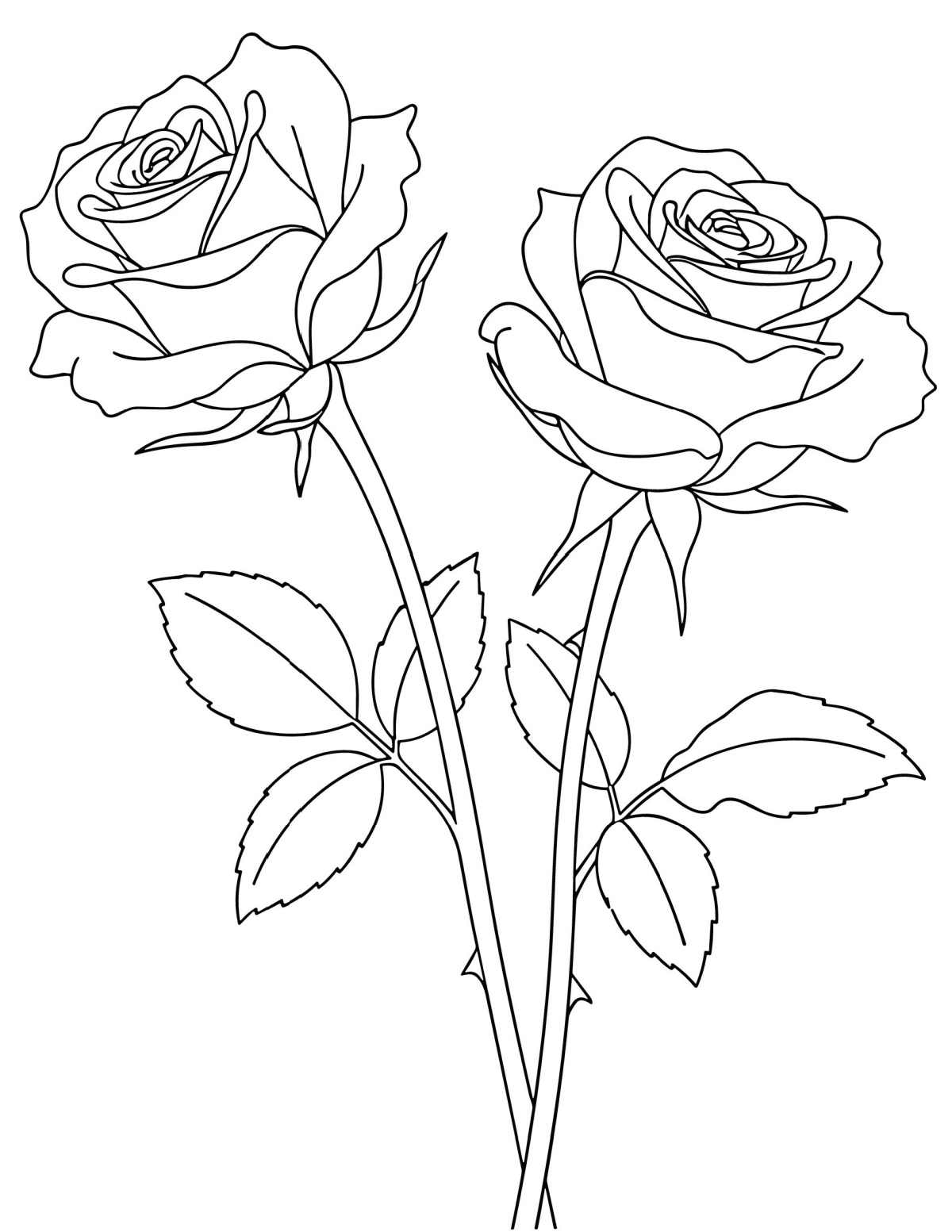 Uma página grátis para colorir de rosas para imprimir com duas hastes de rosas com folhas no centro da folha para colorir.