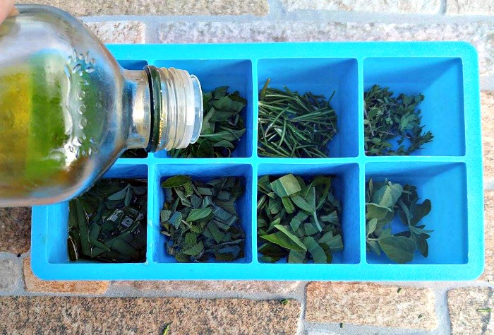 Preparando ervas para congelar Ervas picadas em uma forma de gelo de silicone azul com azeite sendo despejado sobre as ervas.