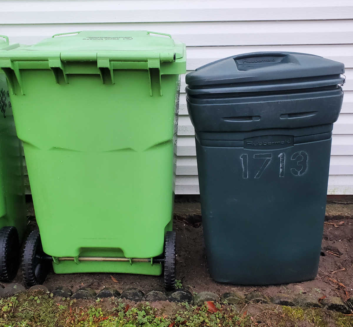 Dois lixeiros verdes usados para coletar resíduos do jardim.