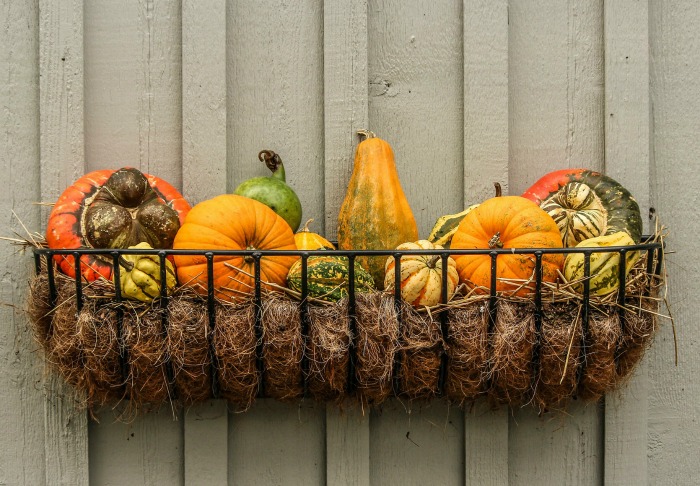 Decoração de parede com gourds em uma cesta de arame