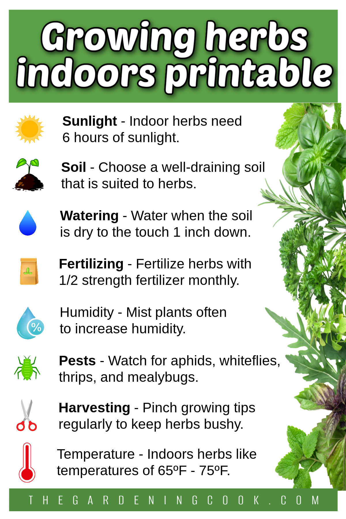 How to Grow Herbs Indoors Free Printable A printable with small gardening icons and care tips for an indoor herb garden. Green text box reads Growing herbs indoors printable.