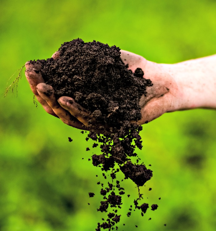 Uma mão segurando terra com boa drenagem.