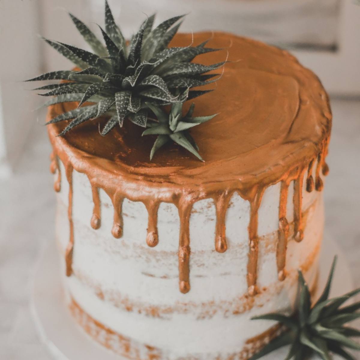 Um bolo com suculentas com uma calda metálica de cobre no topo, escorrendo pelas laterais, e um topo de bolo de aloe artificial no lado esquerdo.