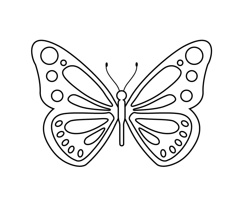 Como desenhar detalhes nas asas da borboleta: detalhes são feitos após adicionar manchas.