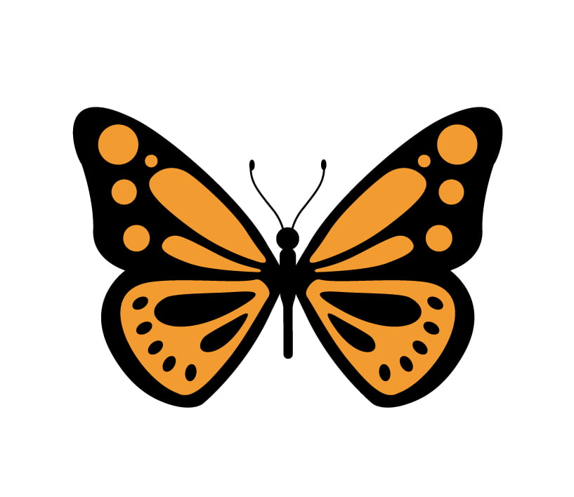 Finalizando o desenho da borboleta com coloração. Parece uma borboleta monarca.