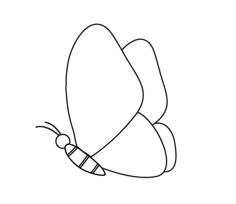 Uma segunda asa foi desenhada ao lado da primeira para fazer com que esta borboleta pareça que está voando