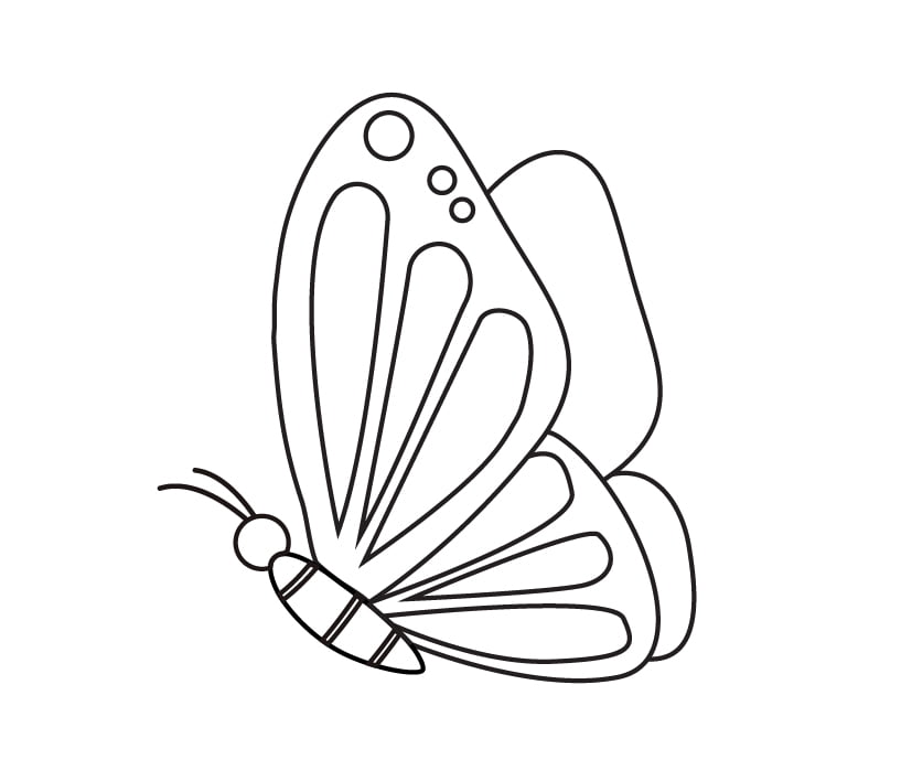 Como adicionar detalhes da asa a um desenho de borboleta de perfil lateral