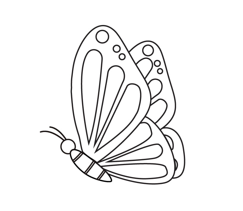 Asas de borboleta finalizadas com detalhes