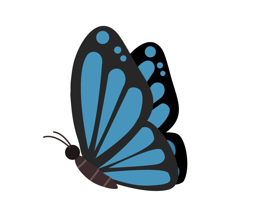 Exemplo completo deste tutorial de desenho de borboleta em perfil lateral que foi colorido