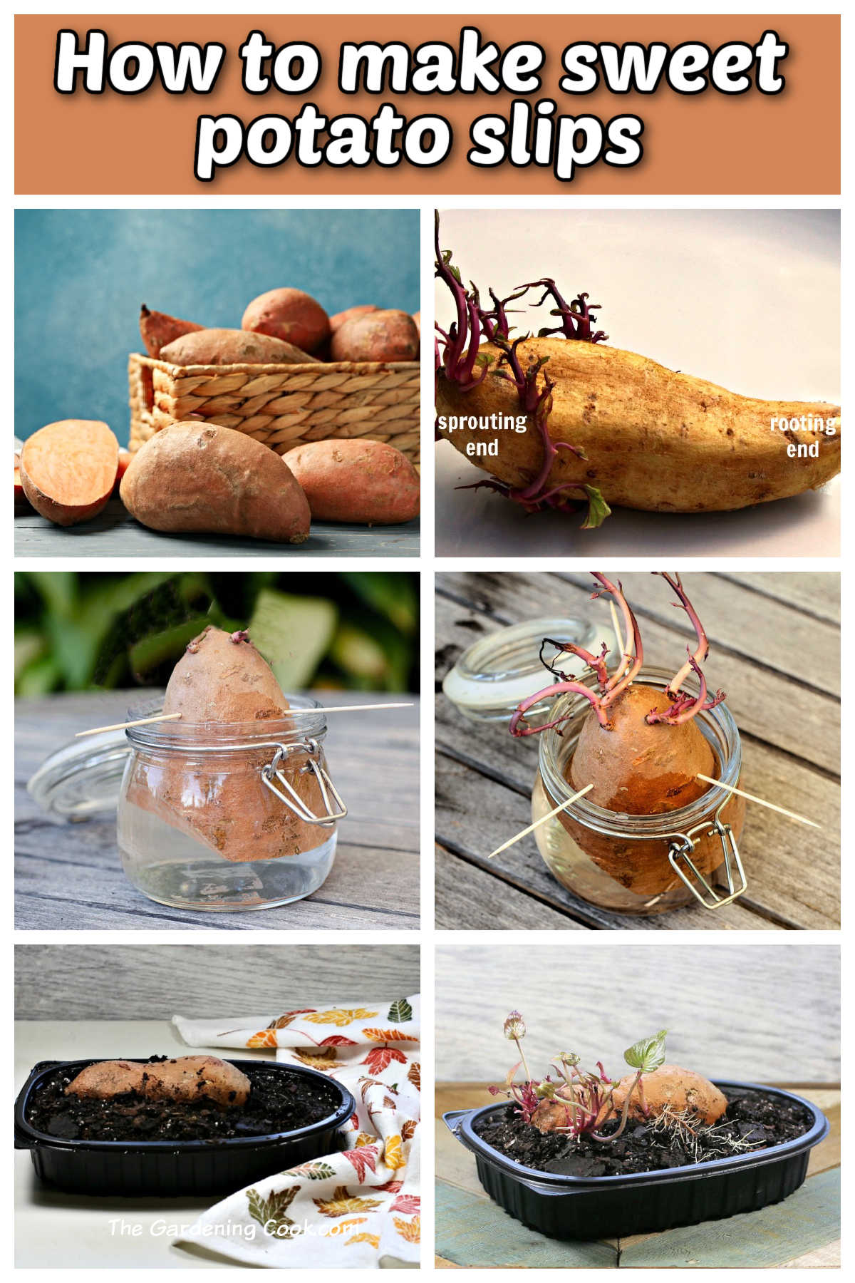 Um mosaico com imagens do processo de cultivar brotações de batata-doce a partir de batatas-doces compradas. Texto em tom bege diz ‘Como fazer brotações de batata-doce’.