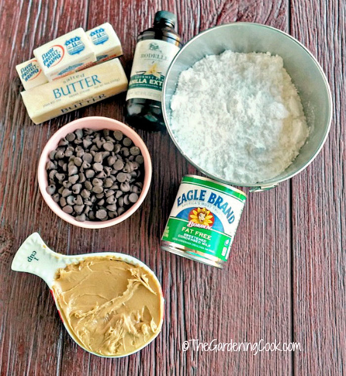 Ingredientes para fazer fudge. Manteiga, baunilha, chocolate, pasta de amendoim, açúcar, leite condensado - para fazer fudge.