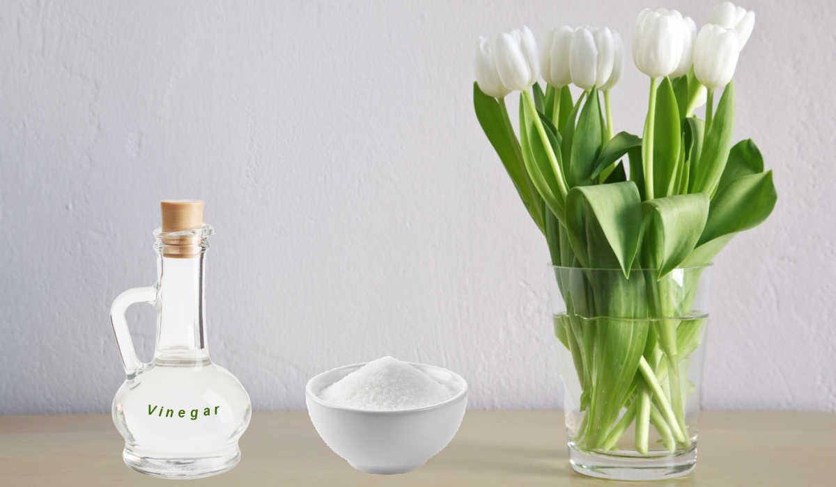 Vaso de tulipas brancas com vinagre e açúcar em tigela e decantador.