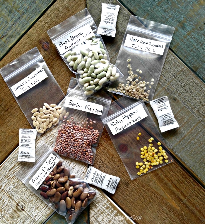 Etiquete as sementes heirloom e coloque em sacos herméticos. Use gel de sílica para manter a umidade fora.