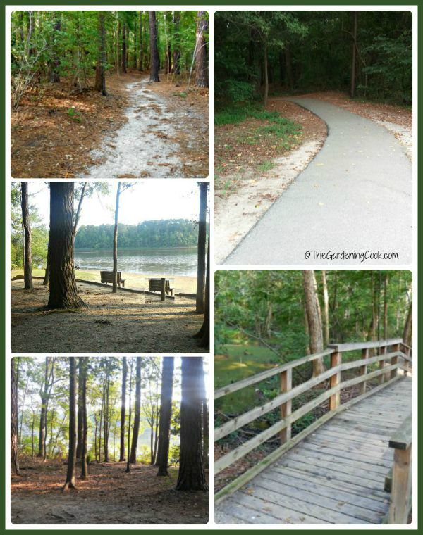 parque Lake Benson