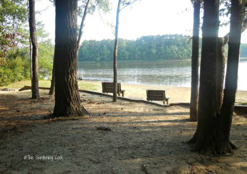 Lago benson