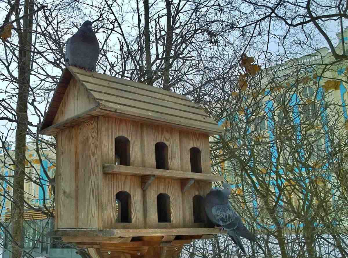 Os pássaros precisam de abrigo no inverno Casinha de pássaros grande no inverno com duas pombas pousadas nela.