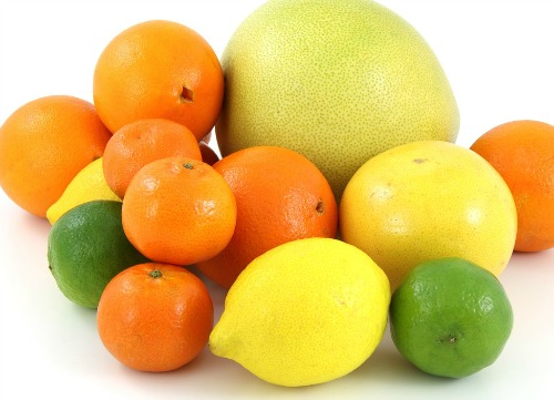 Limões, limas e laranjas sobre um fundo branco.