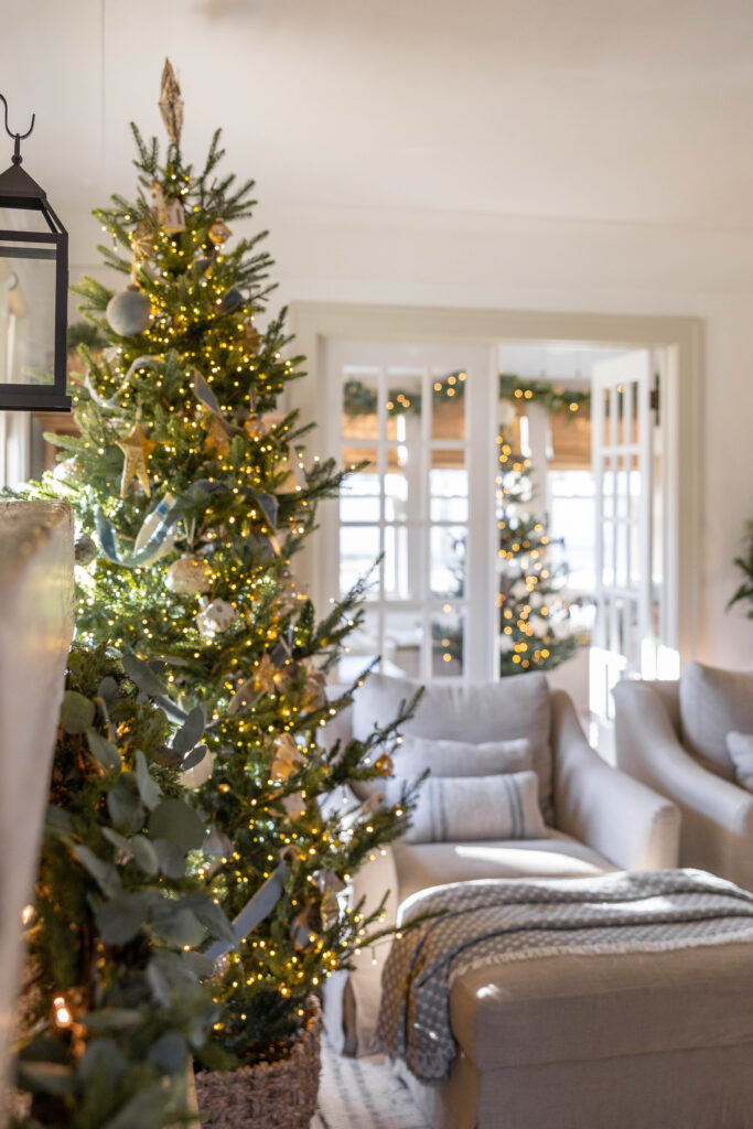 Passeio pela casa de Natal