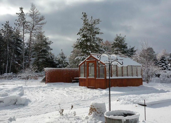 Invernadeira coberta de neve no Michigan.