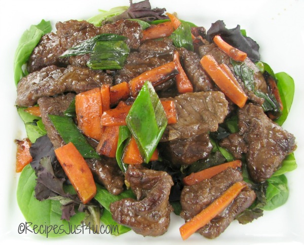 Carne Mongoliana Paleo