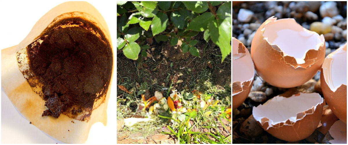 Um mosaico com imagens de fertilizantes caseiros para plantas, incluindo borra de café, compostagem em vala e cascas de ovos em composto.
