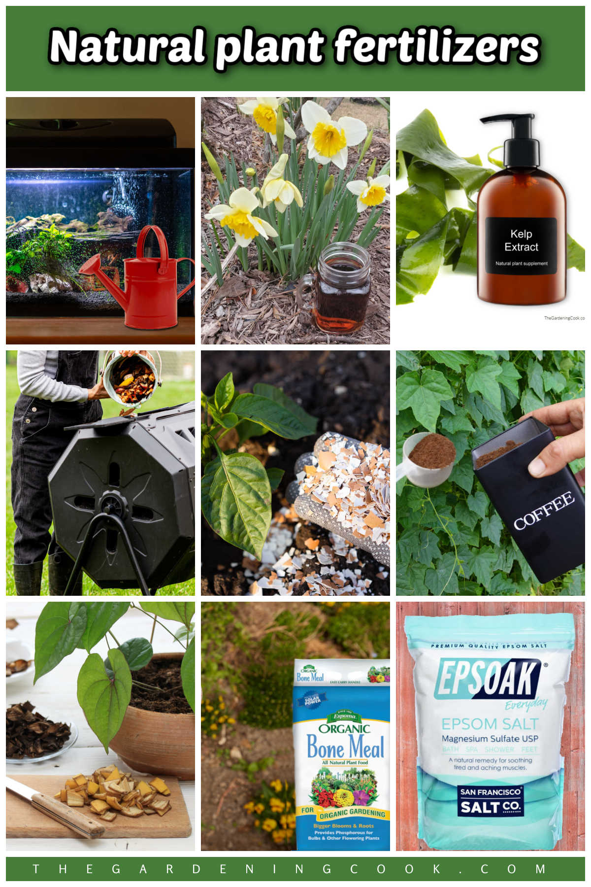 Um mosaico com imagens de fertilizantes naturais para plantas: fertilizante com água de aquário, chá de composto, fertilizante de extrato de alga, compostagem, cascas de ovos, borra de café, farinha de ossos e fertilizante com sal de Epsom.