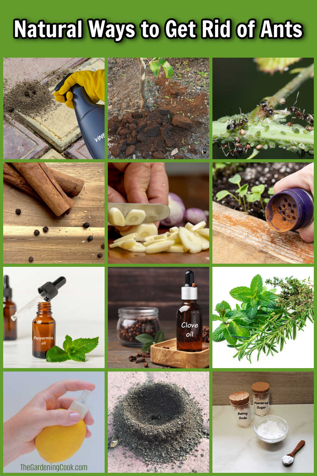 Uma colagem mostrando imagens de formas naturais de se livrar das formigas.