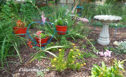 Um bonito jardim com um bebedouro para pássaros, vasos vermelhos em um suporte em forma de coração e muitas flores.