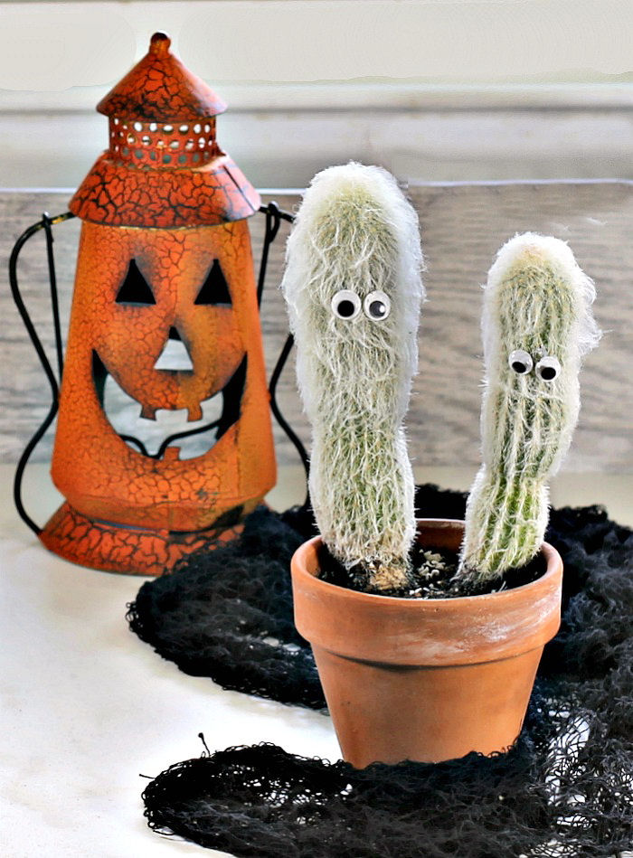 Cacto velho e lanterna para o Halloween