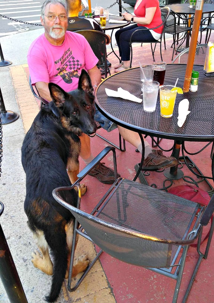 Restaurantes com área externa são o lugar perfeito para jantar com seu amigo de quatro patas.