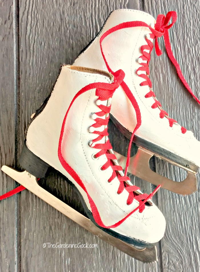patins de gelo e cadarços vermelhos