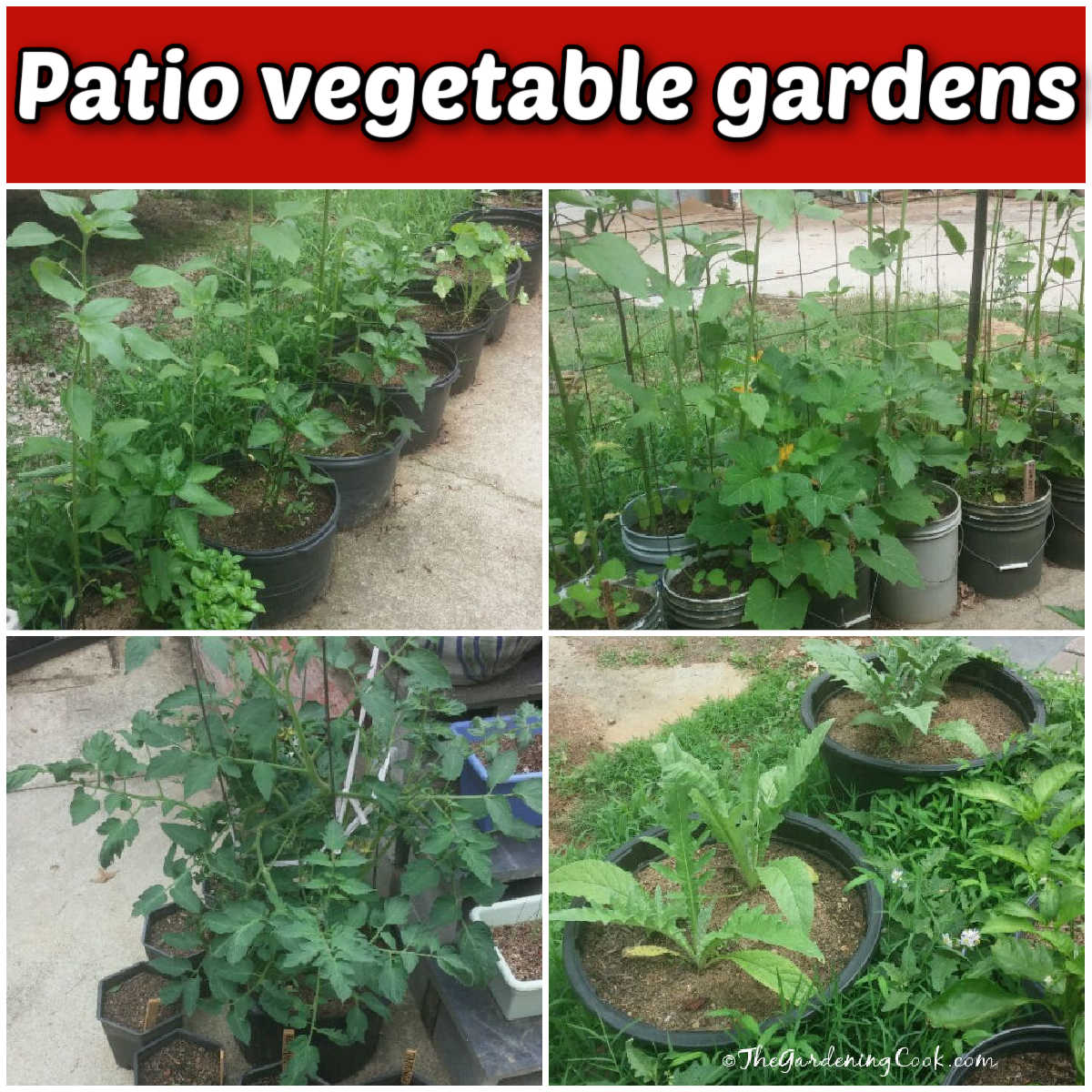 Um jardim de vegetais em espaço pequeno