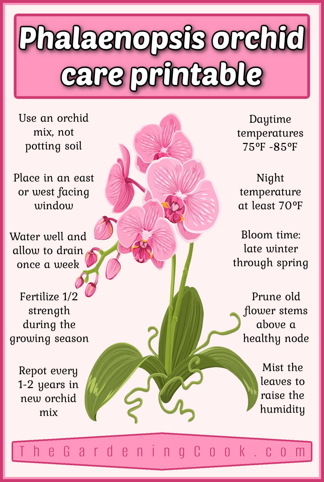 Um imprimível de uma orquídea mariposa em um fundo rosa com dicas para cuidar da orquídea. Uma caixa de texto em rosa escuro diz Cuidados com orquídeas Phalaenopsis.
