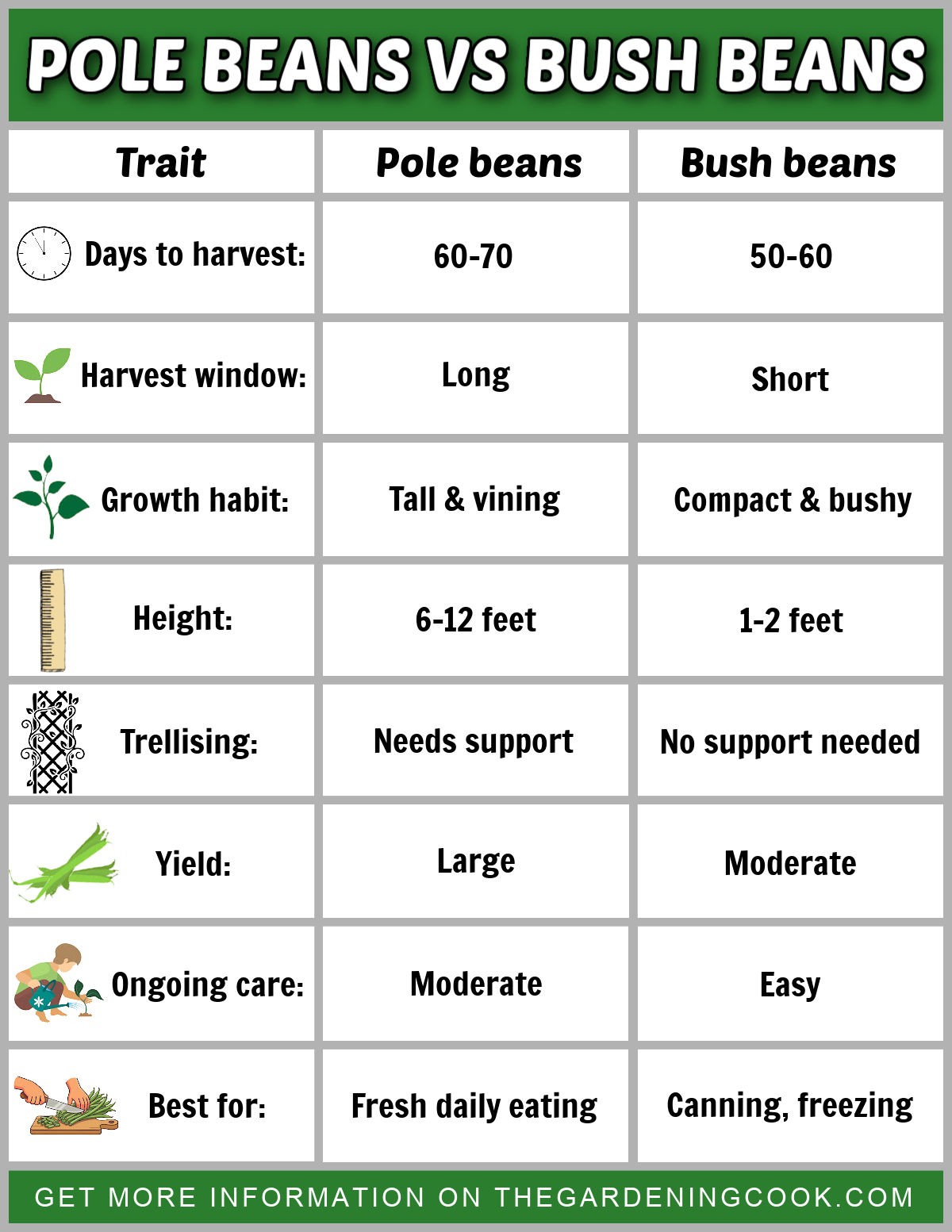 Um material para impressão mostrando, em resumo, as diferenças entre feijão de vara vs feijão arbustivo.