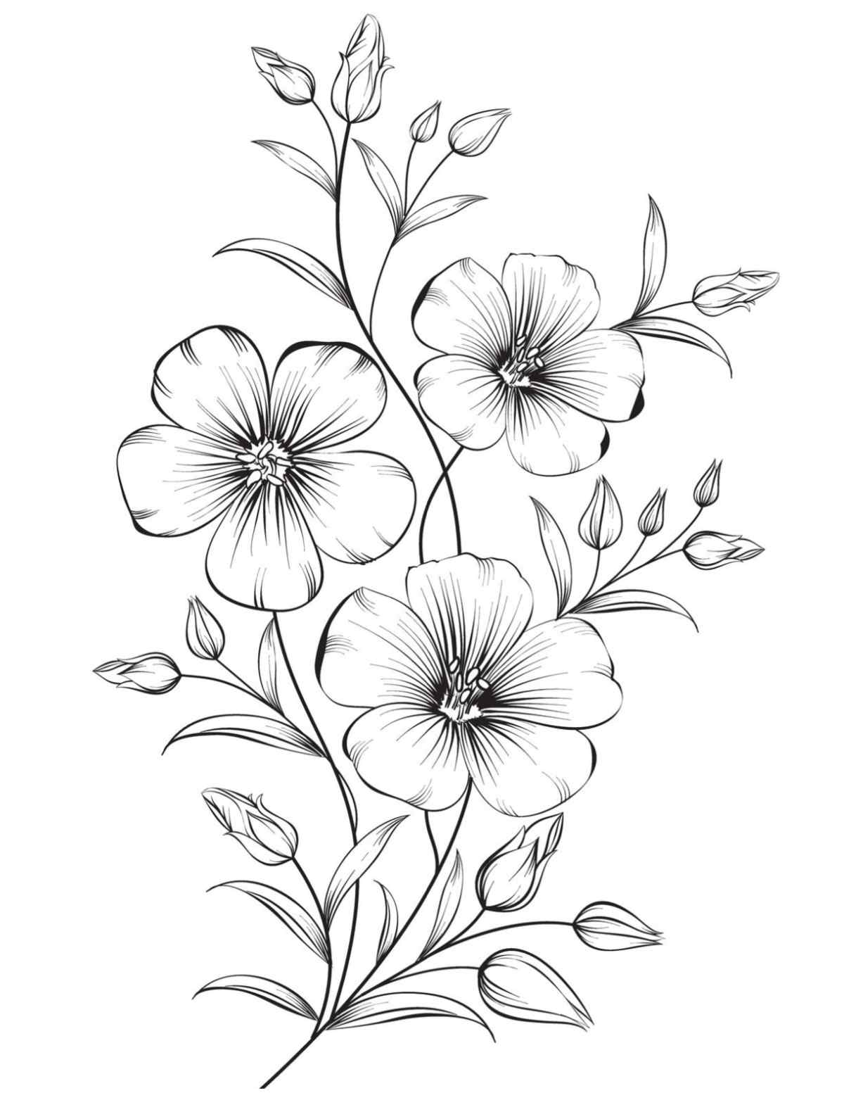Uma imagem grátis de página para colorir de flores para imprimir com um caule floral com três flores e muitas folhas.