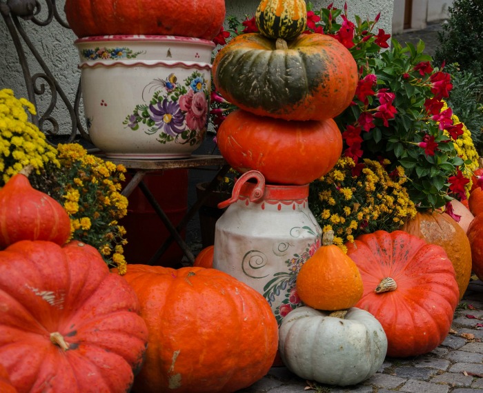 Abóboras, crisântemos e vasos de jardim fazem uma decoração de outono fácil