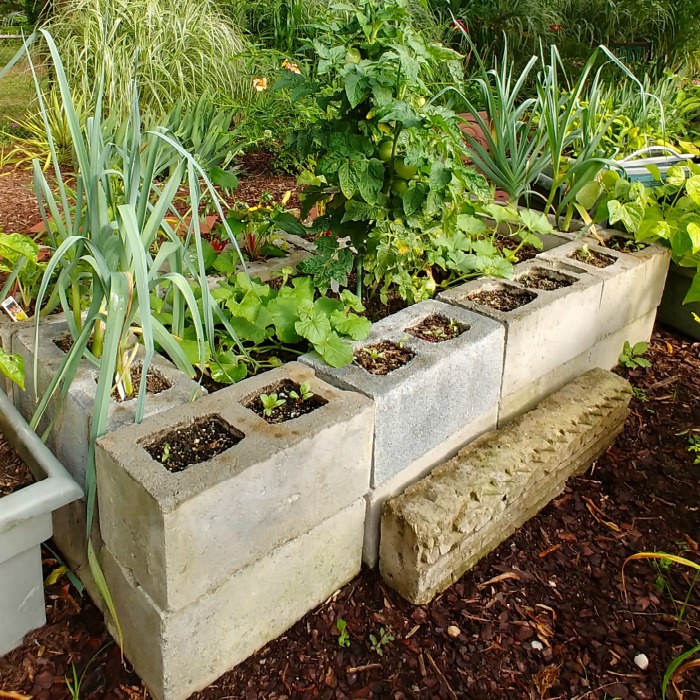 Cama de jardim elevada feita de blocos de concreto.