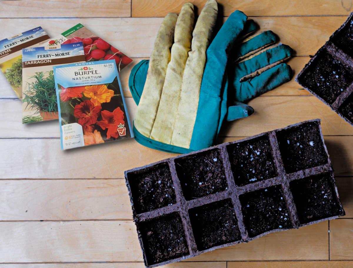 Sementes e luvas de jardinagem com uma bandeja biodegradável para iniciar sementes.