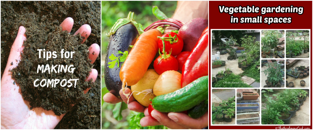 Guias de jardinagem relacionadas, incluindo como fazer composto, vegetais para iniciantes e jardinagem de vegetais em pequenos espaços.