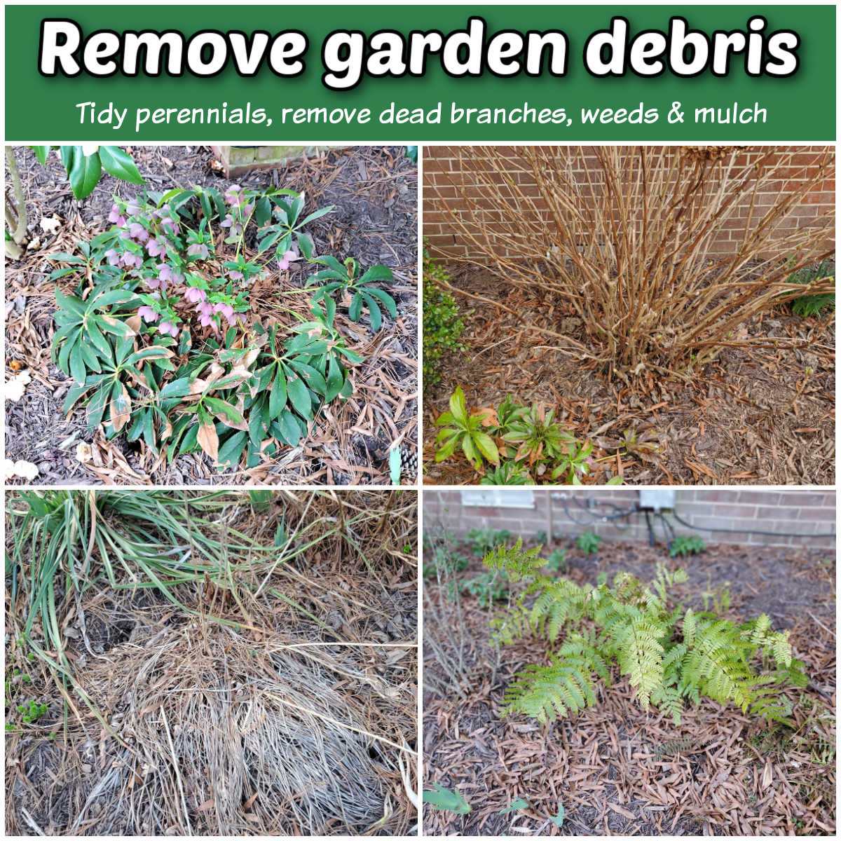 Plantas perenes desarrumadas, galhos mortos, jardins cheios de ervas daninhas e folhas em uma borda todos precisam ser organizados na primavera.