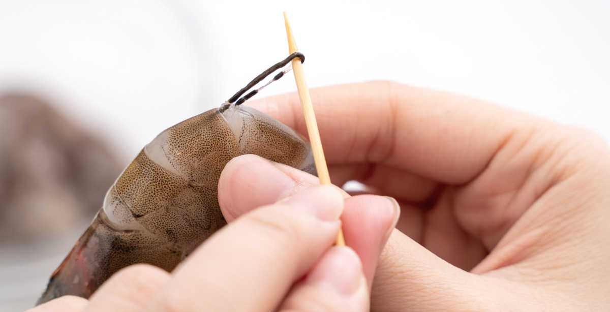 Mãos usando um palito para remover uma veia de camarão.