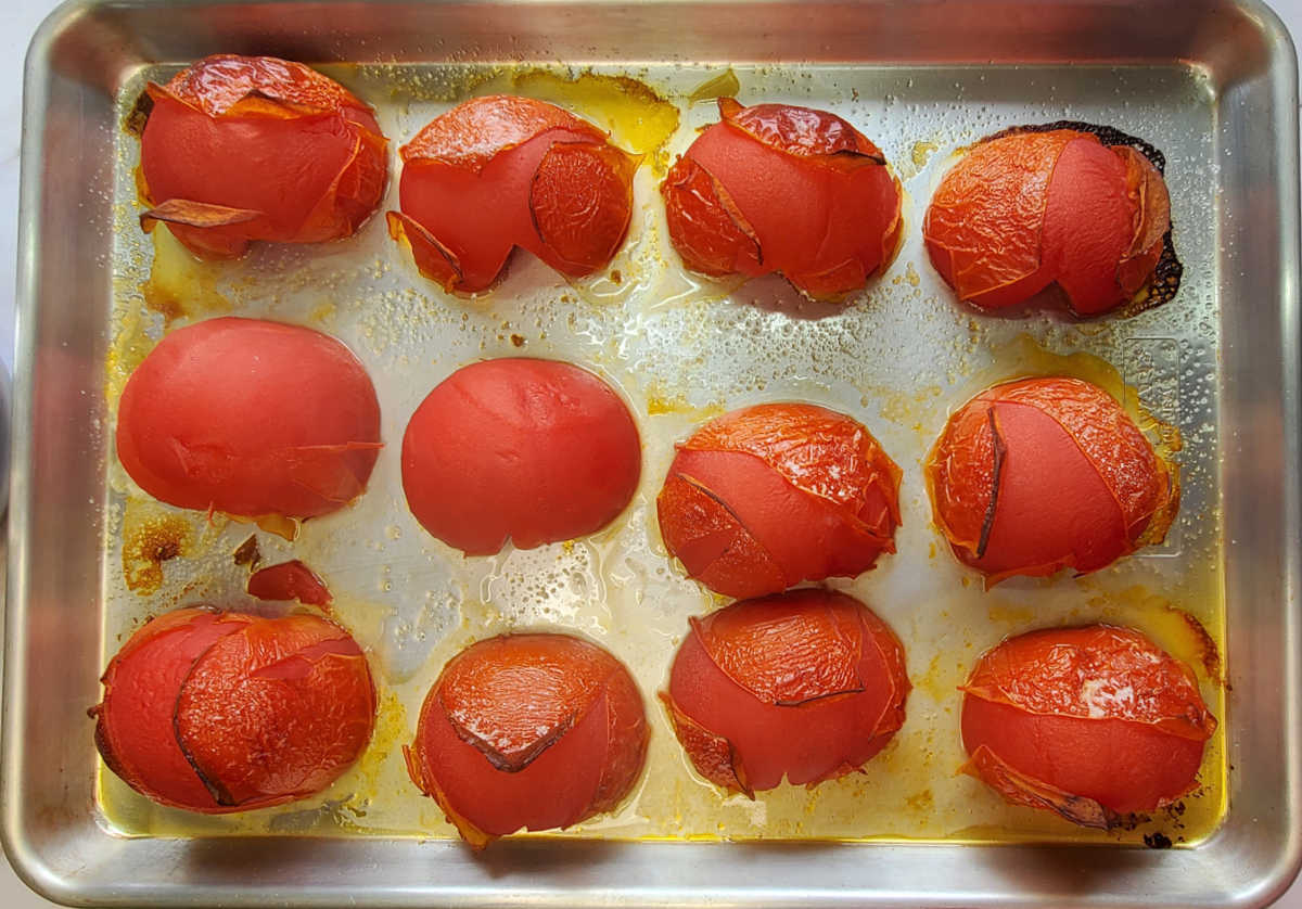 Tomates beefsteak assados em uma assadeira com peles que rasgaram e enrugaram.