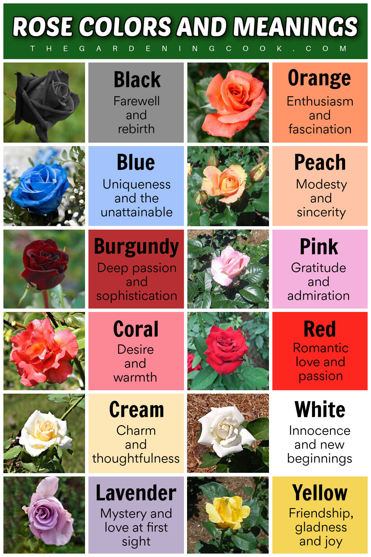 Um imprimível em formato JPG com várias rosas coloridas e seus significados. A caixa de texto verde diz Cores e significados das rosas.