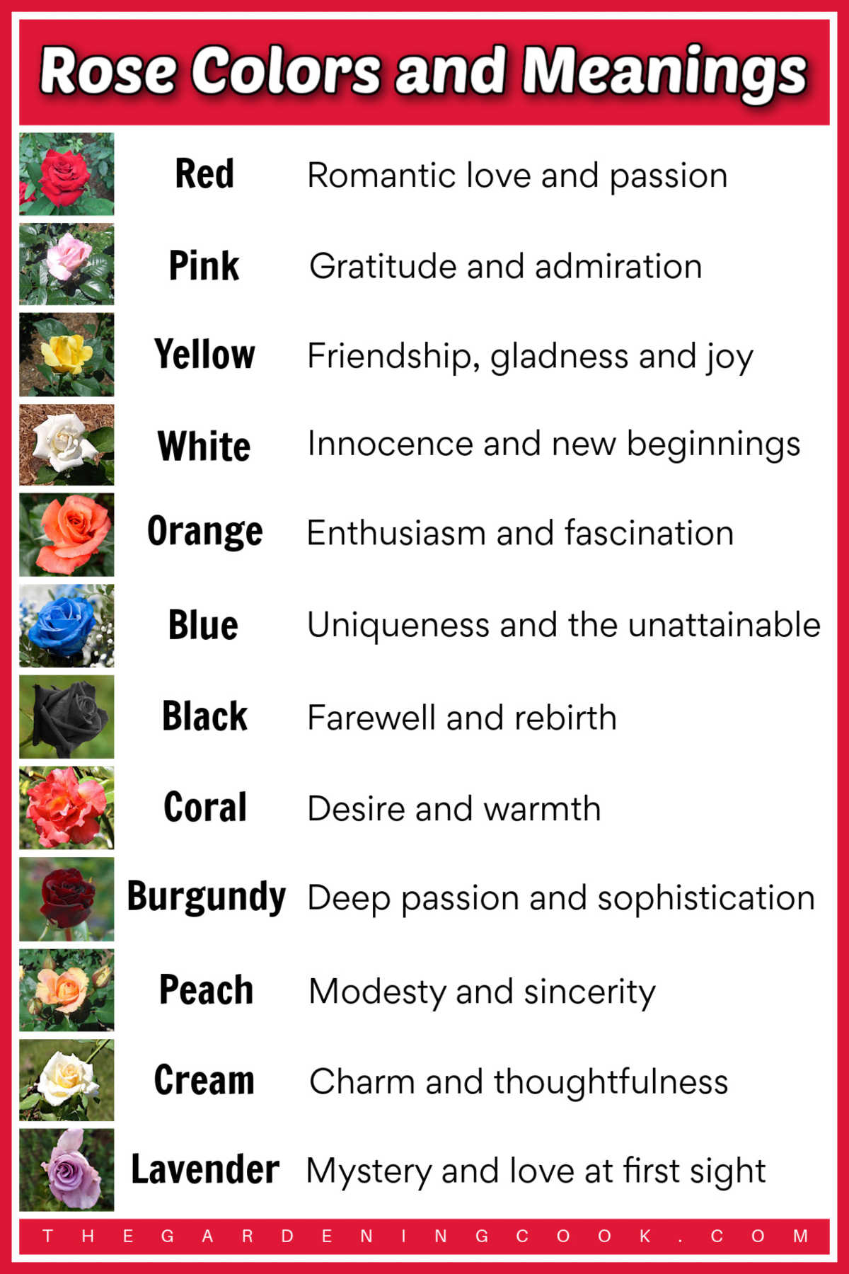 Um imprimível em formato JPG com uma longa fileira de rosas de várias cores à esquerda e seus significados à direita. A caixa de texto vermelha diz Cores e significados das rosas.