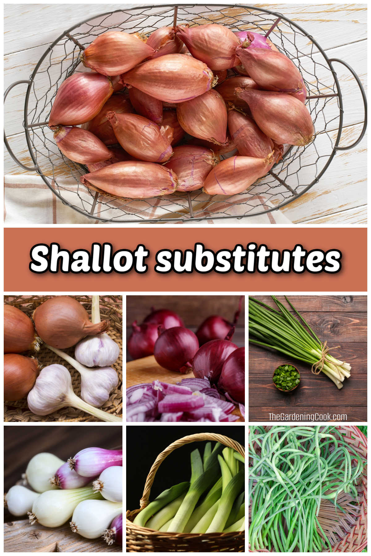 Imagens de cebolas, alho, cebola roxa, cebolinha, cebolinhas da primavera, alho-poró e brotos de alho - todos bons substitutos de chalota.