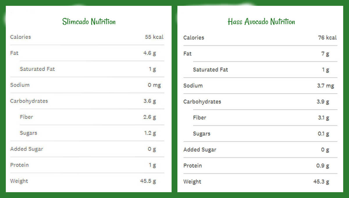 Rótulos nutricionais para um Slimcado vs um abacate Hass.