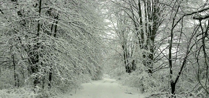 Cena de inverno maravilhosa em Southington, Ohio