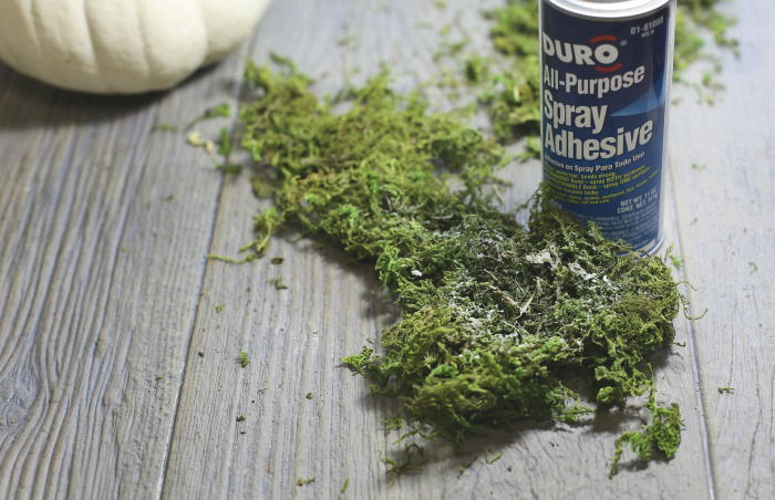 Spray de seções de musgo